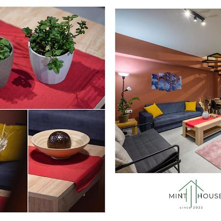 Mint House Apartment Ioannina Exterior photo